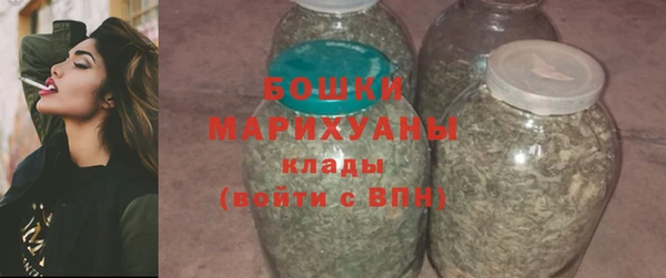 хмурый Арсеньев