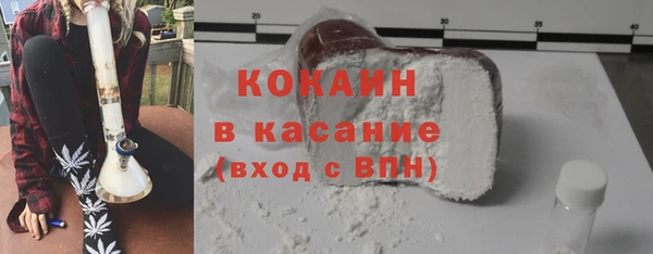 хмурый Арсеньев