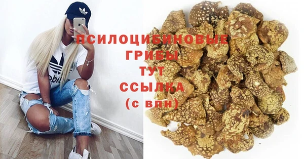 хмурый Арсеньев