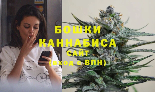 хмурый Арсеньев