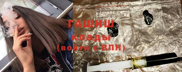 хмурый Арсеньев