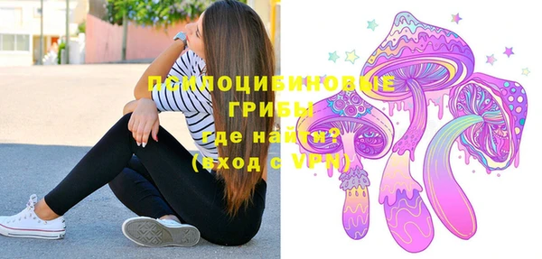 хмурый Арсеньев