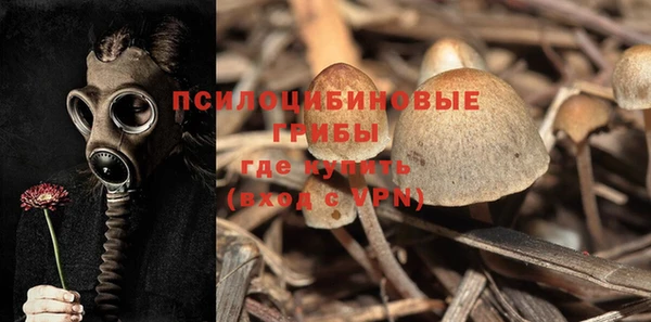 таблы Армянск
