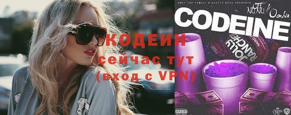 хмурый Арсеньев