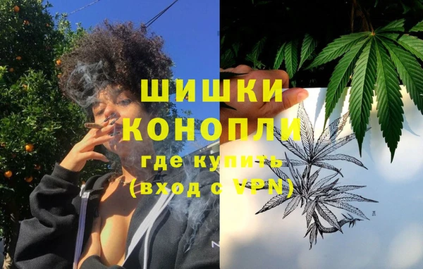 хмурый Арсеньев