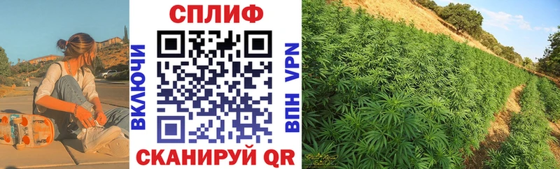 Бошки Шишки Ganja  Староминская 